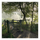 Cattle gate, Wateringbury