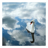 In The Clouds