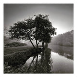 Misty Morning At Wateringbury