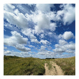 On The Path To Sandwich Bay