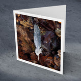 Cinderhill Woods, detail