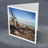 Going nowhere, Dungeness