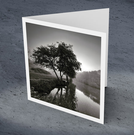 Misty Morning At Wateringbury