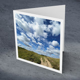 On The Path To Sandwich Bay