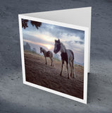 Pony and foal, Yalding